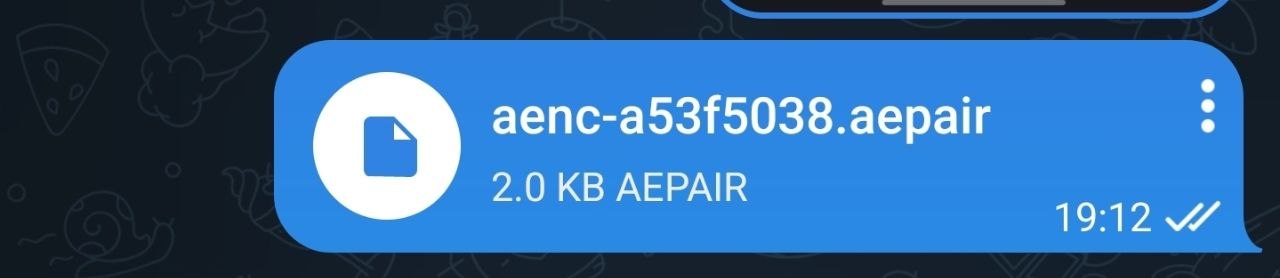 aepair file delivered in a messenger
